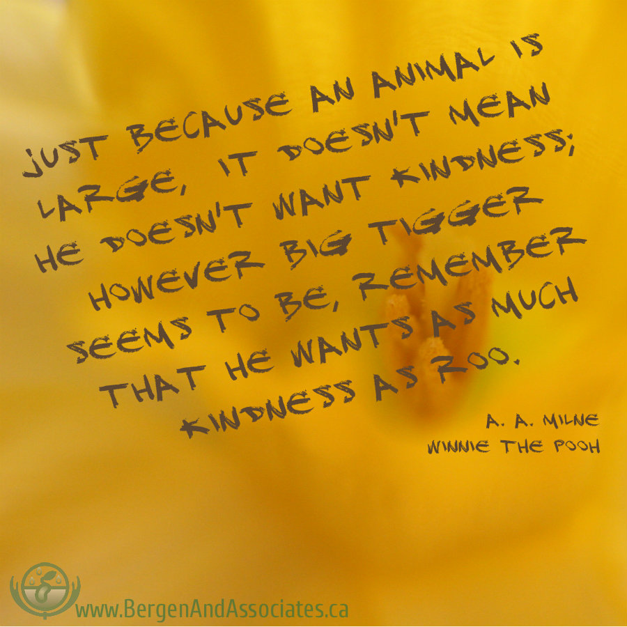 Just because an animal is large, it doesn't mean he doesn't want kindness; however big tigger seems to be, remember that he wants as much kindness as Roo. " A quote by A.A. Milne Winnie the Pooh